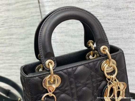Tony Luxuries SmallCalfskin-20-16.5-8CM Lady diro 0805